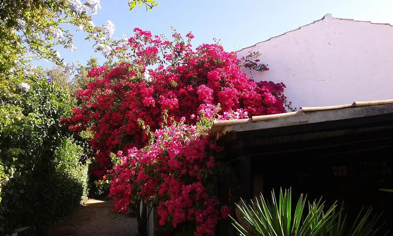 Villa Quinta das Flores Albufeira